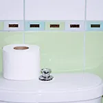 Sani