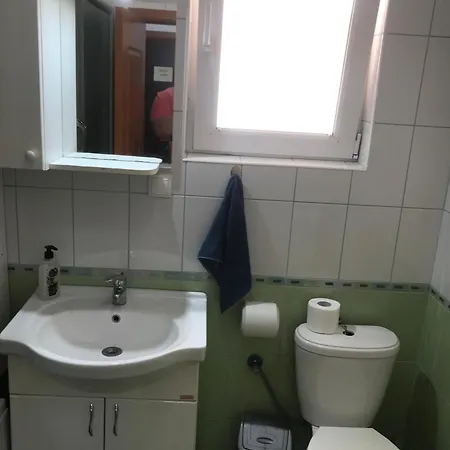 Sani *