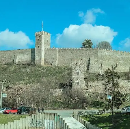 Sani